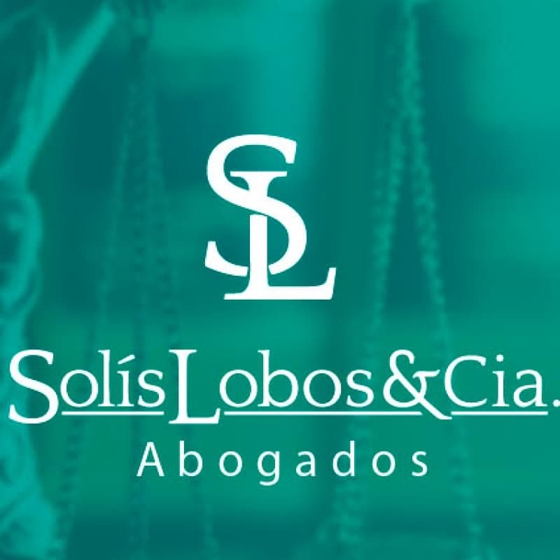 Patricio Solis Lobos