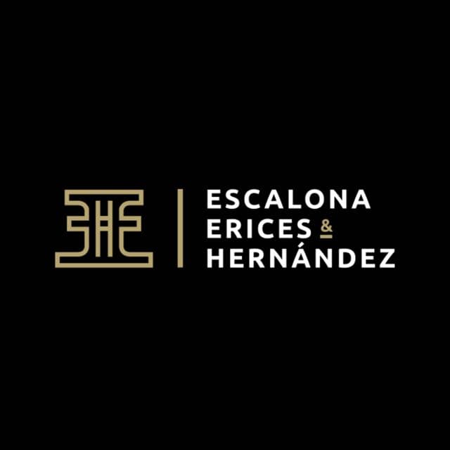FERNANDO ALBERTO ERICES SÁNCHEZ
