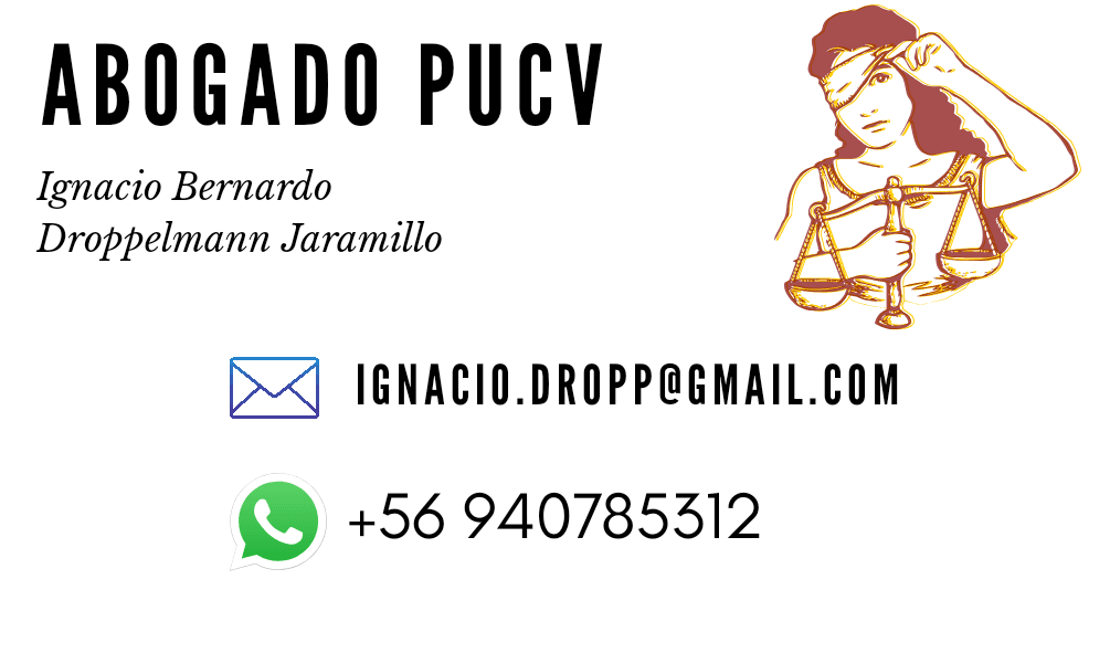 Ignacio Bernardo Droppelmann Jaramillo