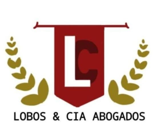 Carlos Miguel Montenegro Ahumada