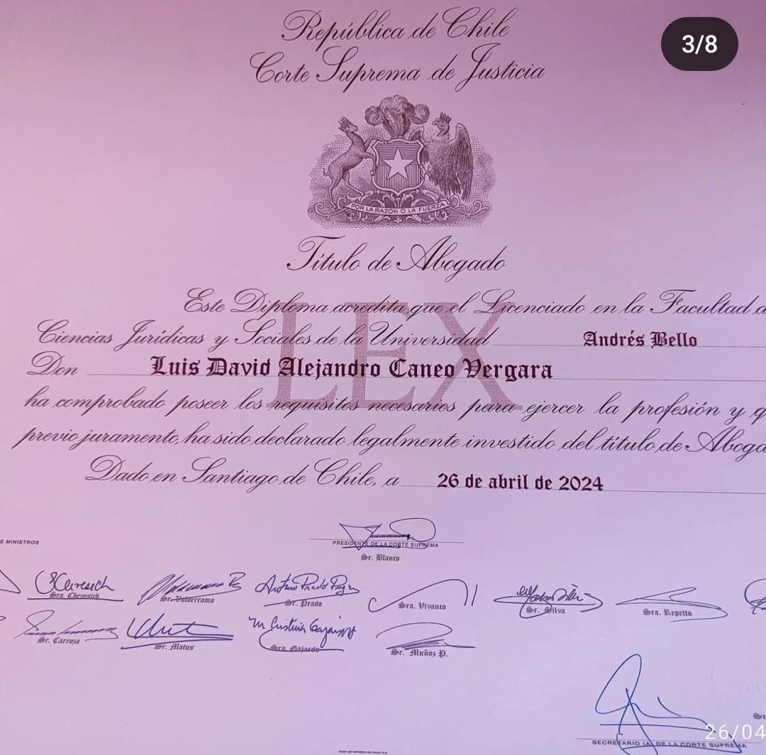 LUIS DAVID ALEJANDRO CANEO VERGARA