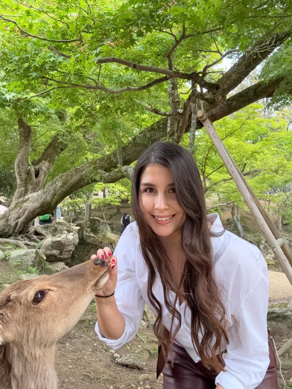 PAULA ANTONIA SOCÍAS CASTRO