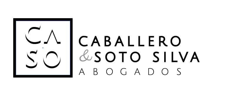 Álvaro Javier Caballero Valdés