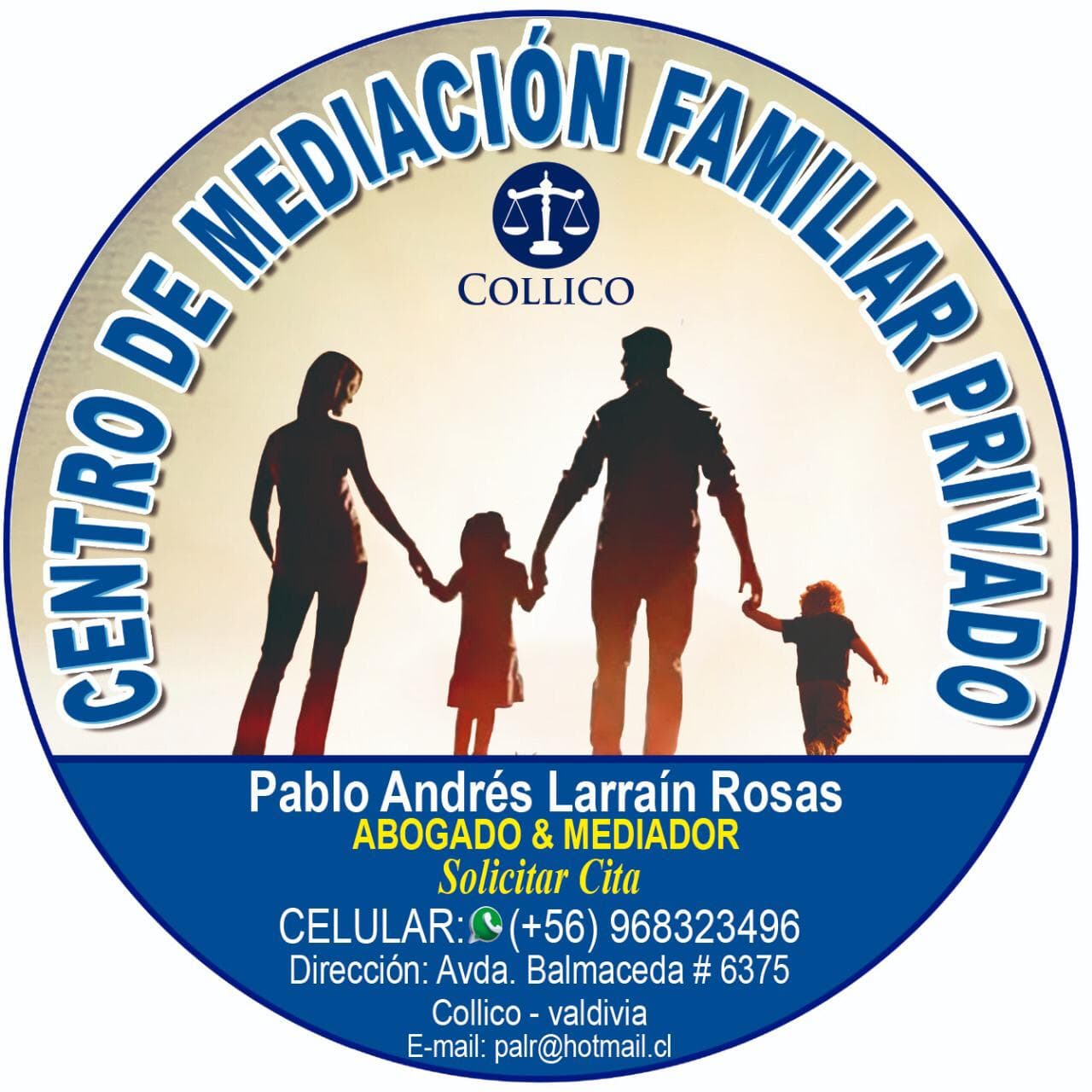 Pablo Andrés Larrain Rosas