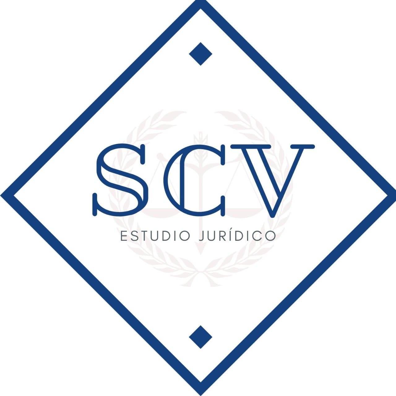 Sebastián Valenzuela Ibarra