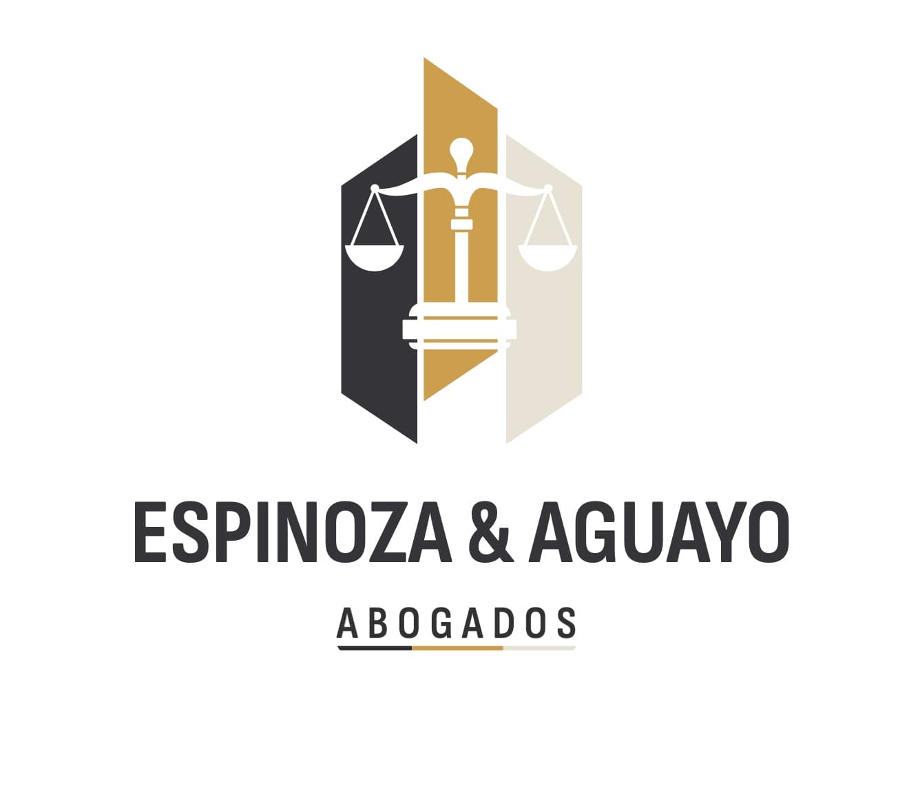 GONZALO EDUARDO ESPINOZA VIVALLO