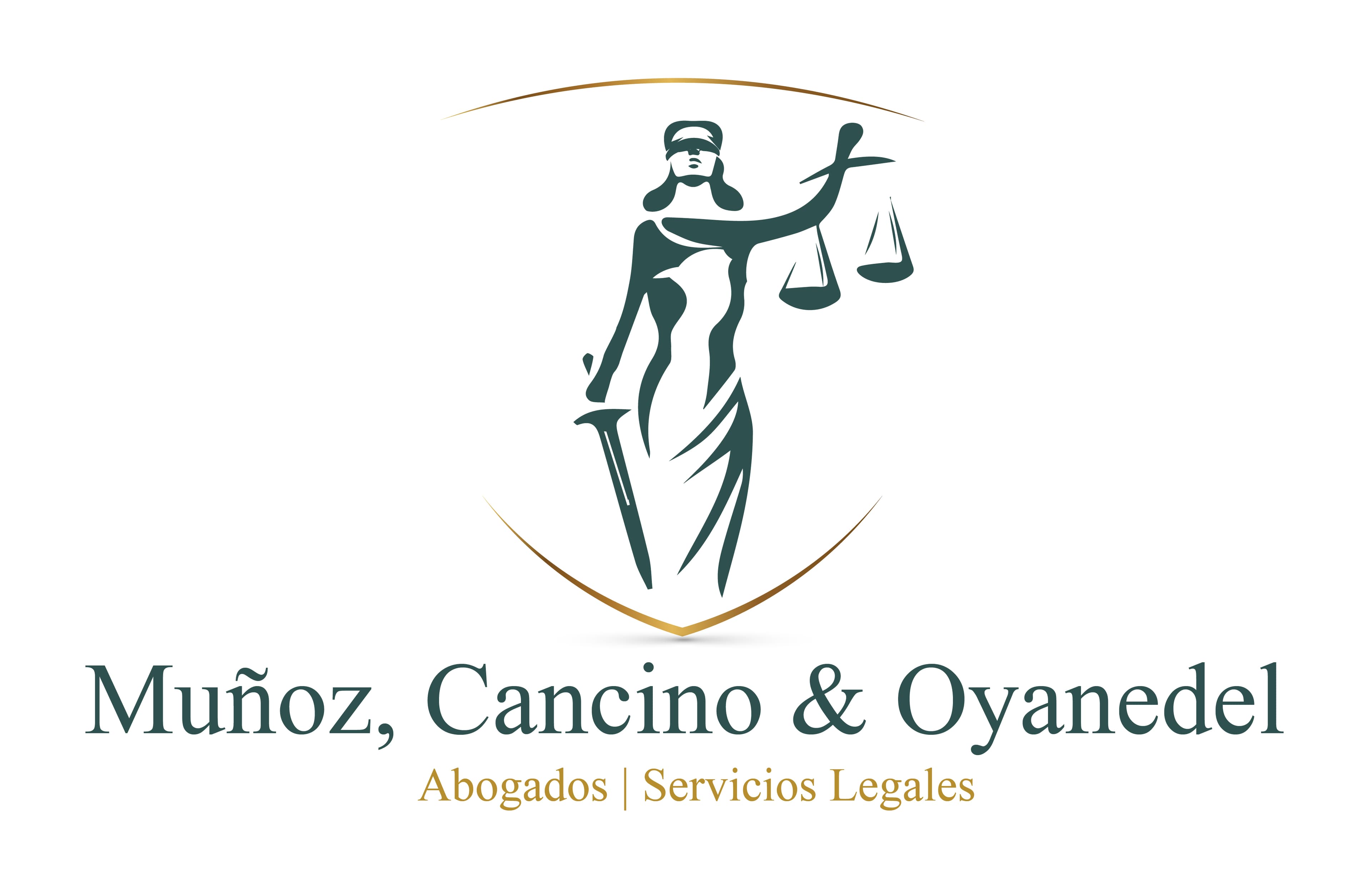 CRISTIAN ERNESTO CANCINO ULLOA