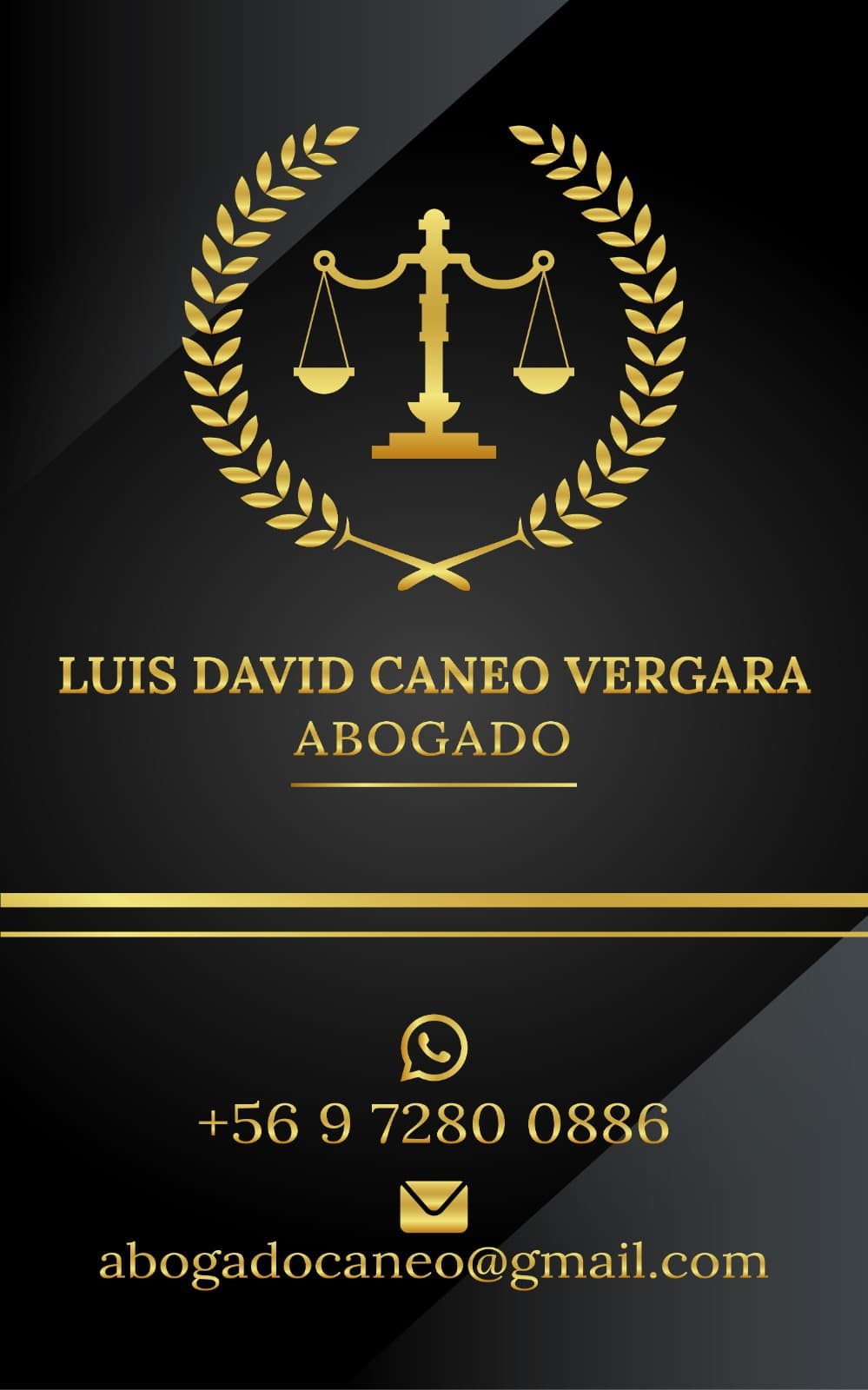 LUIS DAVID ALEJANDRO CANEO VERGARA