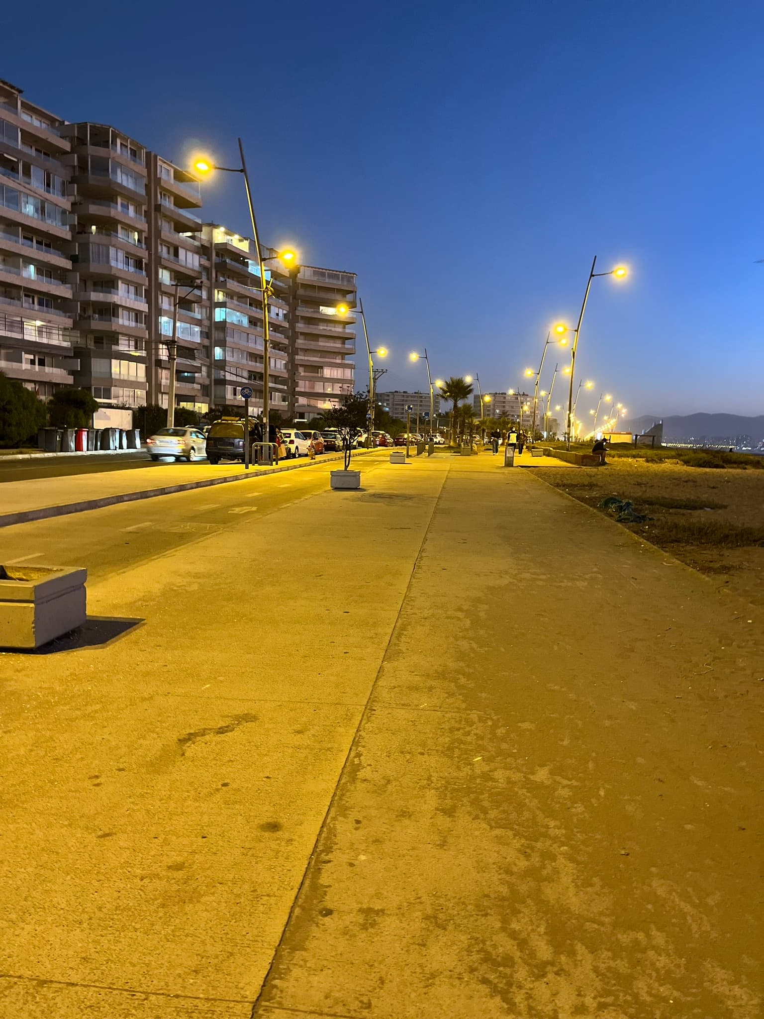 Mario Antonio llanquileo rapiman